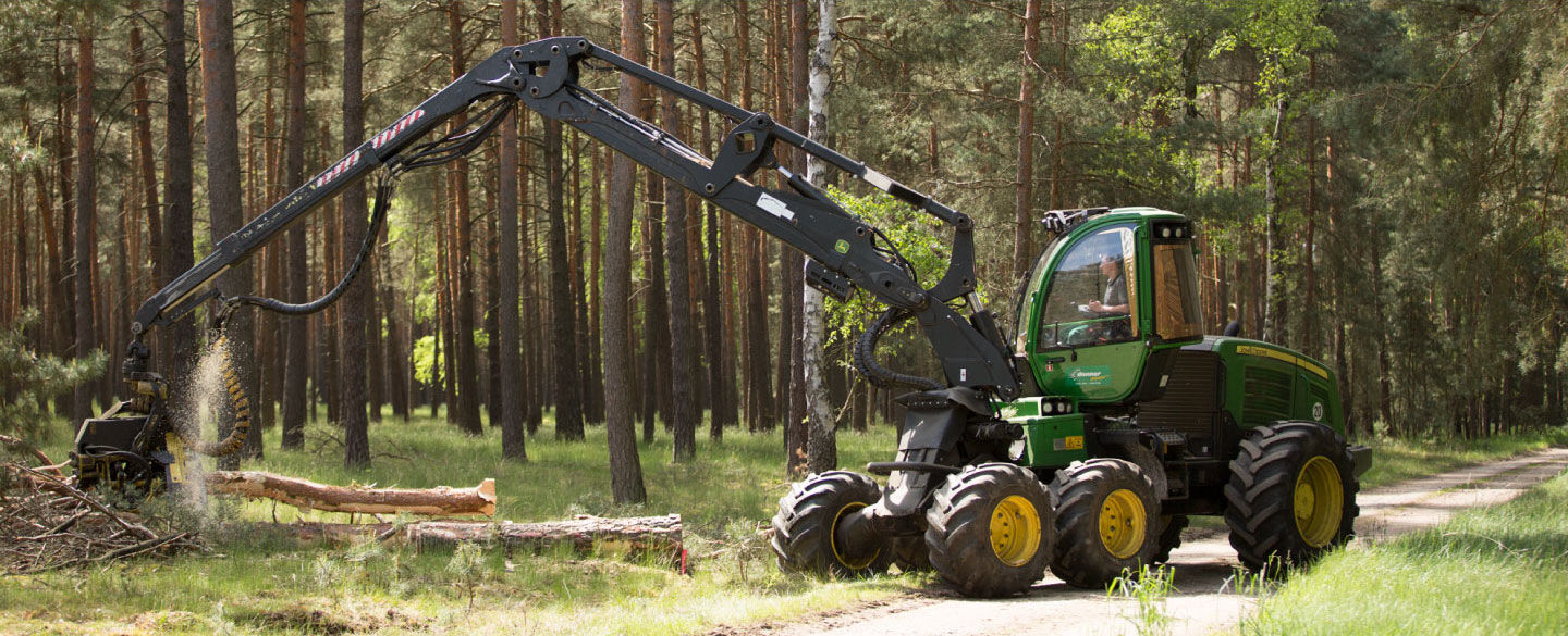 Baum fixieren, fällen, entasten, sortieren und ablegen. Mit unseren Harvestern kein Problem.